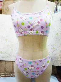 在飛比找樂天市場購物網優惠-【震撼精品百貨】Hello Kitty 凱蒂貓 KITTY內