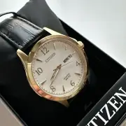 Citizen Quartz Silver Tone Dial Black Leather Strap Men's Watch BF2003-25A