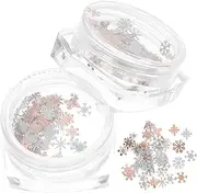 EXQUIMEUBLE Snowflake Confetti Flakes for Nail Art and DIY Crafts Manicure Sequins Glitter for Phone Cases and Scrapbooking Easy Recognition Transparent Packaging