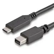 StarTech Mini DP Adapter Cable | Thunderbolt\u00AA 3 Compatible | USB 3.1 Type-C\u00AA CDP2MDPMM6B