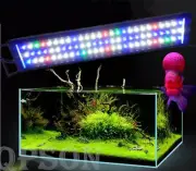 QPSON full spectrum LED lights