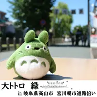 在飛比找露天拍賣優惠-日本宮崎駿動漫 綠色龍貓 手掌沙包顆粒感毛絨娃娃玩偶 2尺寸