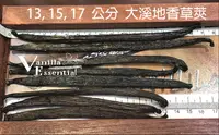 在飛比找樂天市場購物網優惠-進口 15公分, 17公分大溪地香草莢, Tahitian 