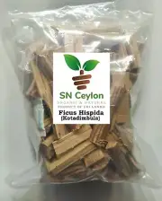 Dried Plant Kotadimbula Ficus hispida Hairy fig peyatti Organic - 250g -450g