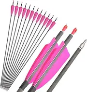 [ZSHJGJR] Archery Carbon Arrows 400 Spine Practice Target Hunting Arrows 33 inch for Recurve Bow Compound Bow with Removable Tips 6/12pcs