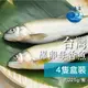 台灣宜蘭爆卵母香魚 225g 4隻盒裝