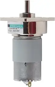 DC Geared Motor, High, Low Noise, Pure Copper Wire Coil, Metal Gear, Bearing Position, Speed Regulation, Clockwise and Counterclockwise Rotation (300 RPM)
