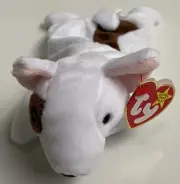 NEW 1998 TY Beanie Babies Butch the Dog MWMT *2 ERRORS on Tag*