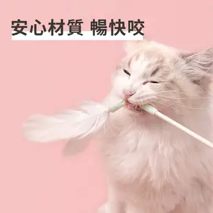 【SOFT ZOO】彈力逗貓棒 (羽毛/絨球/響紙) 貓玩具 寵物玩具 逗貓杆 逗貓棒 逗貓桿