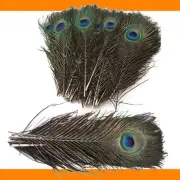 Peacock Tail Feathers 25-30cm Feathers Craft Hat Decorations Hat Sewing 10"-12"