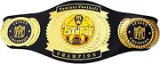 Fantasy Football Belt Adjustable Fantasy Football Championship Belt - First Place Winner Award for Fantasy Football League