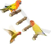 Bird Shower Perch,Playstand for Cockatiel | Portable Suction Cup Cage Perch for Parrot Parakeet Conure for Car Home Wall