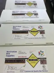 Beehive 5 Frame Nucs - November Nuc orders now being reserved - FREE NucMaster