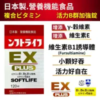 在飛比找蝦皮購物優惠-日本【活力B群 EX PLUS加強錠120錠 】維生素B群 