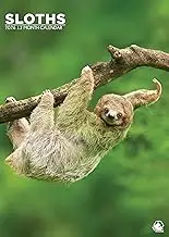Sloths Calendar 2026