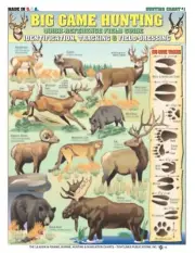 Big Game Hunting Chart #1 - Waterproof Quick Reference Field Guide