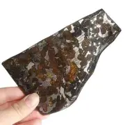 107CT Seymchan pallasite Meteorite SLICE From Russia TA747