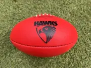 AFL HAWTHORN HAWKS SHERRIN AUSTRALIAN MADE LEATHER FOOTBALL - Premiers MCG Hodge