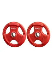 [Everfit] Weight Plates Olympic 15kgx2 Dumbbell Barbell Plate Weight Lifting Home Gym Red