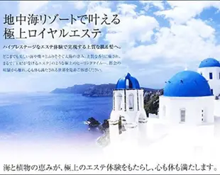 日本POLA Esthe Royer 地中海海洋 深藍 洗髮精 商業用10公升 送空瓶2支 (8.5折)