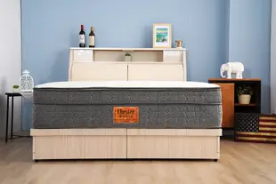 天絲德國恆溫竹炭太空記憶矽膠5cm 2.1線徑手工製作1008顆黑彈簧床墊-IKEA120*200 (8.3折)