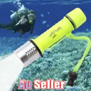 55000Lm LED Scuba Diving Flashlight Torch Underwater Light Lamp Waterproof