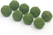 Nice purchase Handmade Natural Green Plant Moss Balls Decorative for Home Party Display Decor Props (2 in)