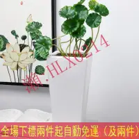 在飛比找露天拍賣優惠-【可開發票】特價中✅裝飾栽樹花盆陶瓷特大號 現代簡約客廳發財