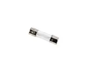 Fuse 10A 250V for LM901/902, DSC/DSR, ALEKO AS450/650/900/1300, GateGuard
