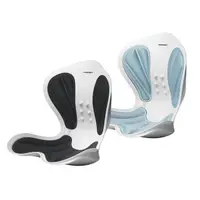 在飛比找momo購物網優惠-【BLAUPUNKT 德國藍寶】藍寶3D護脊美學振動椅墊 B
