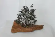 Crystal Gemstone Black Aagte & Smokey Qtz Tree of Life with Gumnuts 300 chips