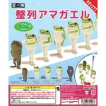 『VIC TOY』奇壇俱樂部 KITANCLUB 轉蛋 扭蛋 整列排排站青蛙 公仔 排隊 排排站 青蛙 單售