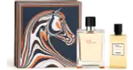 HERMÈS Terre d'Hermès Gift Set for Men Eau de Toilette 100 ml + Shower Gel 80 ml