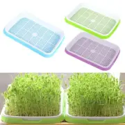 Enhance Your Health with this Multifunction For Grain Sprouter Germination Tray