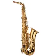 Yamaha YAS-480 Intermediate Alto Saxophone - Gold Lacquer