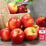 在飛比找遠傳friDay購物優惠-紐西蘭櫻桃蘋果15罐/箱