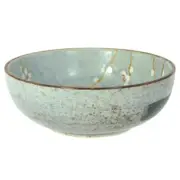 Japanese 7.75" Porcelain Noodle Soup Rice Bowl Grey Spring Blossom Made in Japan