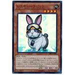 遊戲王 日紙 TRC1-JP020 救援兔 (亮面)