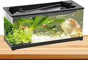 Rukjmqi Small Aquarium - Clear Turtle Aquarium with Filter for Hydroponic Planting - Desk Fish Tank with Air Pump and Oxygenation for Shrimp, Turtle, and Reptile