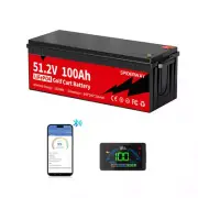 48V 100Ah Lithium Iron Phosphate LiFePO4 Battery Prismatic Cell BMS Camping