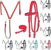 Majestic Ally Nylon Padded Equestrian Browband Headstall, Reins & BreastCollar Set for Horse- Full