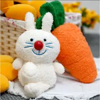 在飛比找蝦皮購物優惠-(現貨)韓版可愛兔兔紅蘿蔔玩偶 公仔 娃娃
