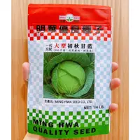 在飛比找蝦皮購物優惠-原包裝 1/4磅 大型初秋甘藍種子 3～4公斤 約17500