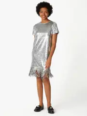 Sequin Fringe Dress