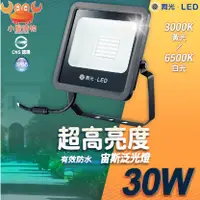 在飛比找蝦皮購物優惠-舞光 10W LED 20W宙斯 30W 50W高亮度IP6