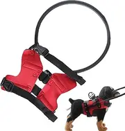 Halo for Blind Dogs – Safety Dog Harness, Guiding Ring Vest | Protective Adjustable Collar Design, Lightweight Halo Frame Build for Outdoor Walking, Pet Navigation, Obstacle Detection and Safety