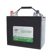 Basement Sentry 75 AMP Hour Deep Cycle Battery (Charges 5X Faster Than Other ...