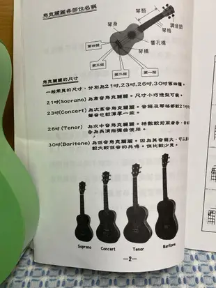 BORYA 台灣品牌 烏克麗麗夏威夷吉他 (綠色)-二手近全新