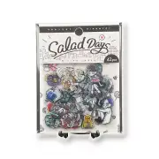 Salad Days Sticker Flake Seal Cute Quirky Fun Decal B-Side Label Japan