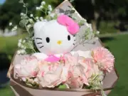 Hello Kitty Bouquet, Basic Series, Sanrio Bouquet, Sanrio Gifts, Sanrio Plush